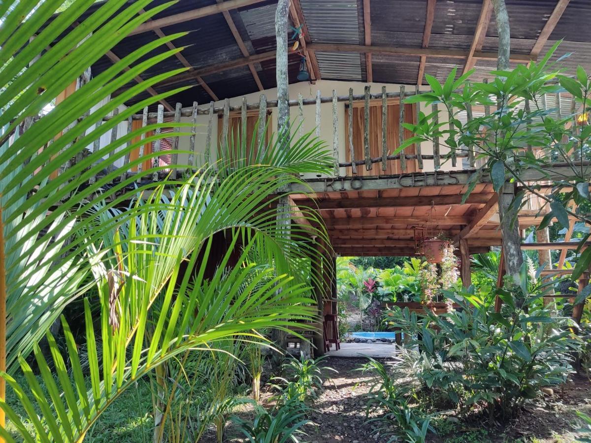 Cabana Vista Rio Celeste Екстер'єр фото