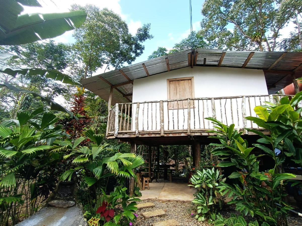 Cabana Vista Rio Celeste Екстер'єр фото