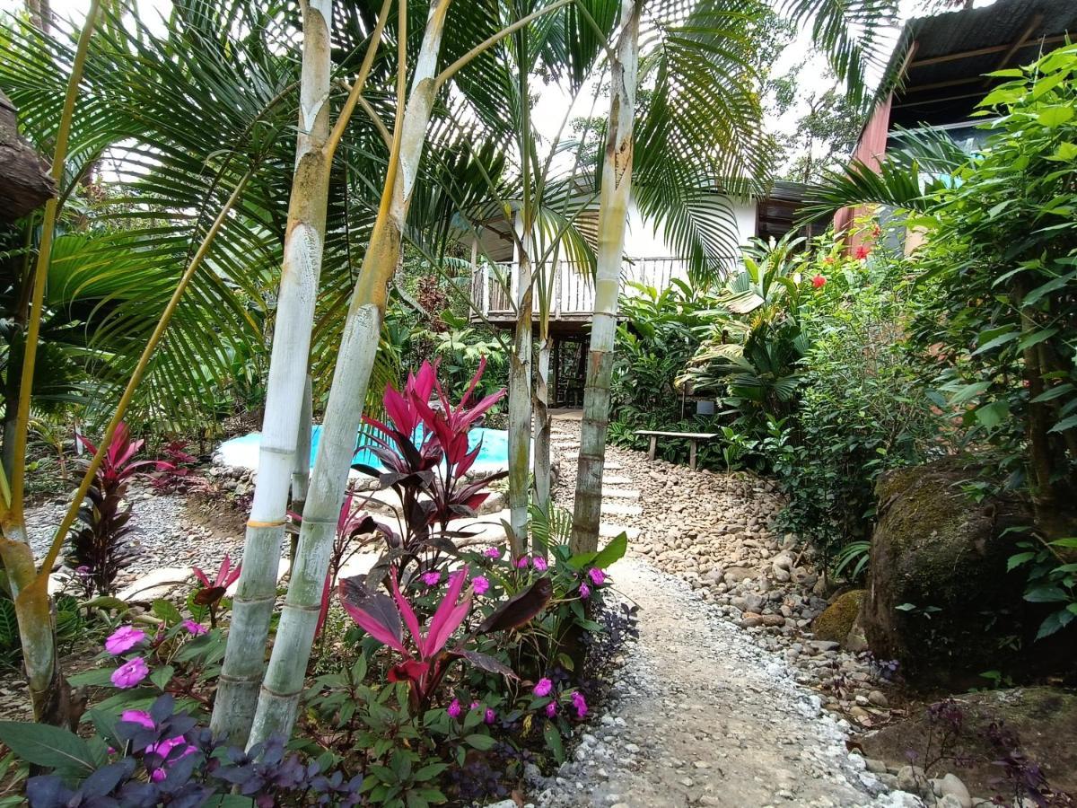 Cabana Vista Rio Celeste Екстер'єр фото